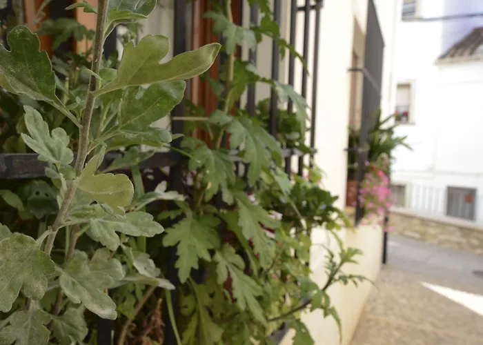 Hostal La Fonda Grupo Terra de Mar, alojamientos con encanto